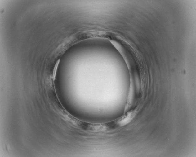X0000070870621200606161207