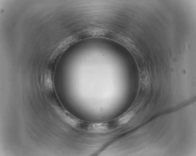 X0000070870622200606161207