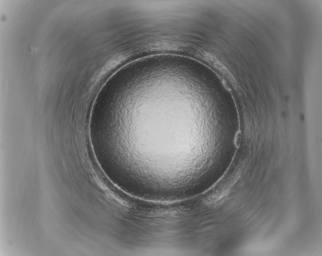 X0000070870625200606161206