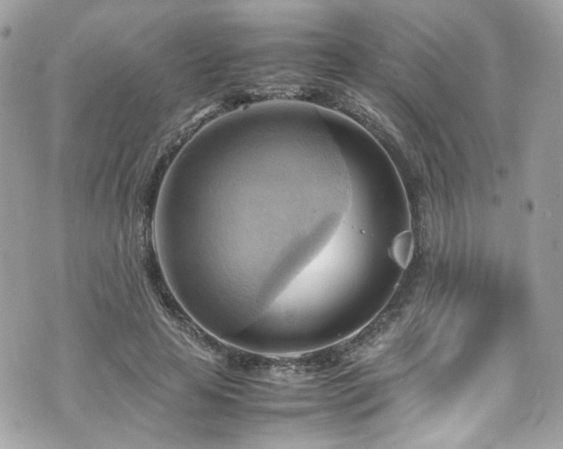 X0000070870641200606161207
