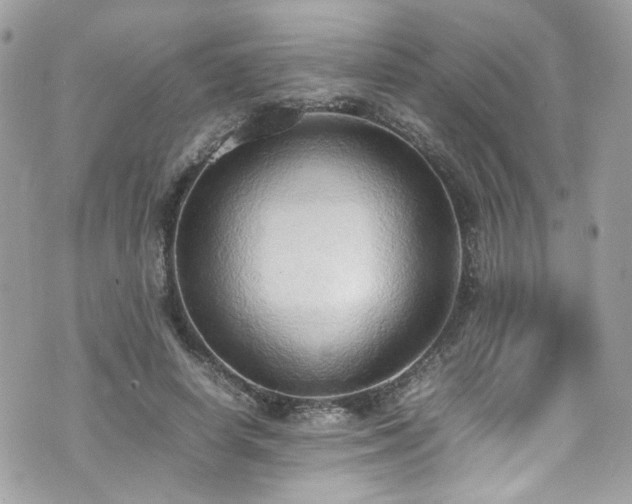 X0000070870642200606161207