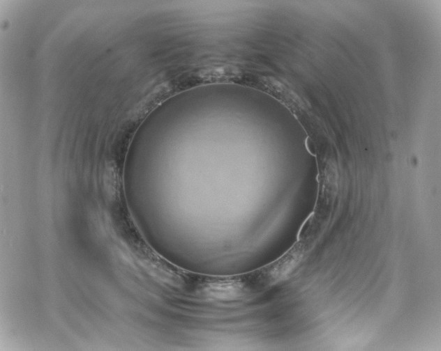 X0000070870659200606161207