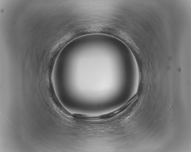 X0000070870681200606161206