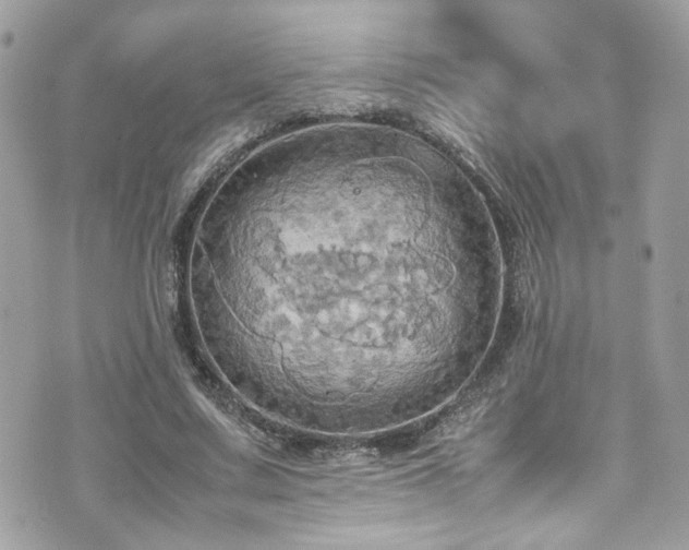 X0000070870683200606161206