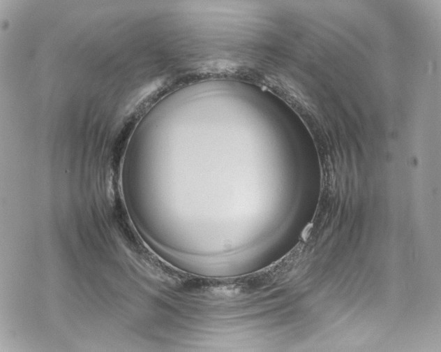 X0000070870692200606161206