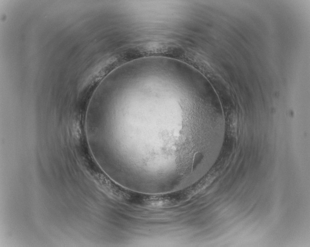 X0000070870746200606161205