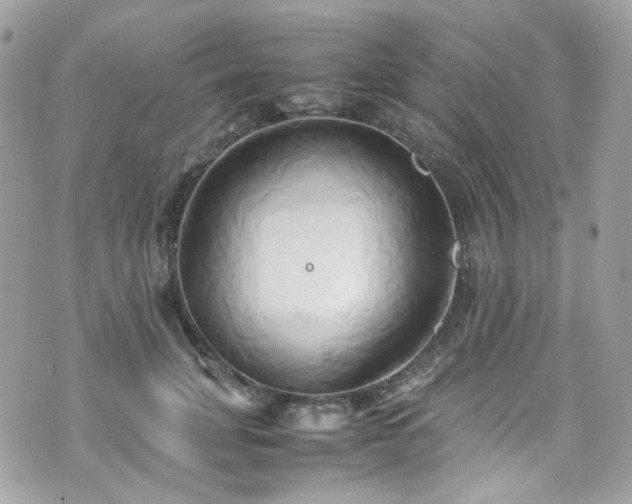 X0000070870751200606161205