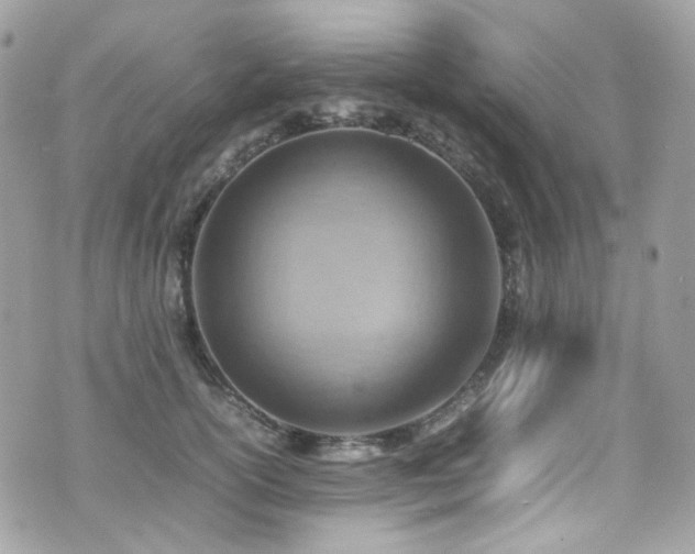 X0000070870754200606161205
