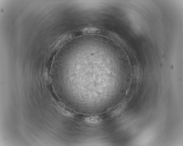 X0000070870761200606161205