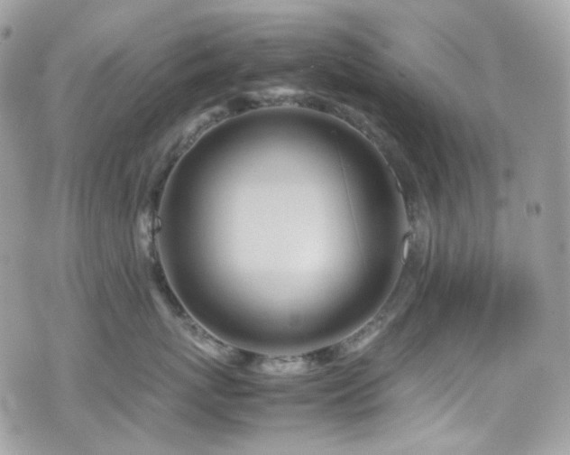 X0000070870767200606161205