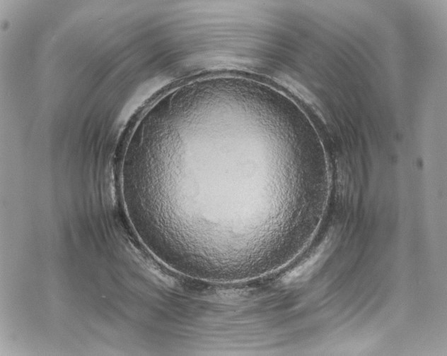 X0000070870782200606161204