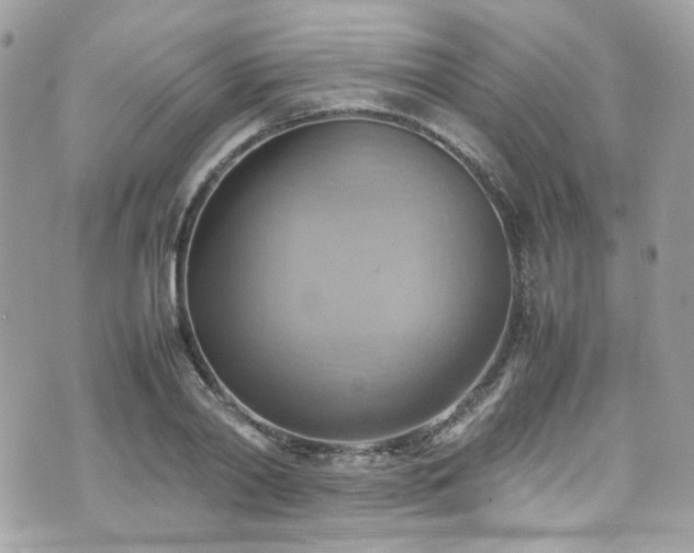 X0000070870790200606161204