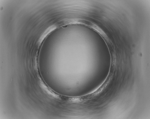 X0000070870806200606161204