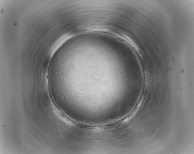 X0000070870814200606161204
