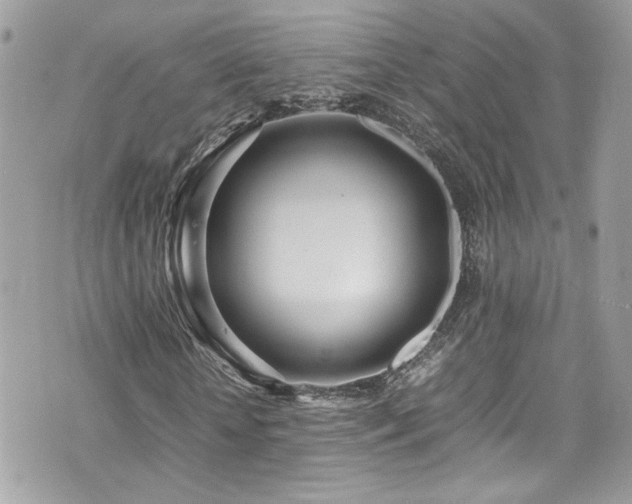X0000070870818200606161203