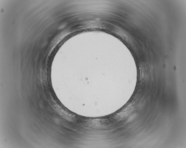 X0000070870828200606161203