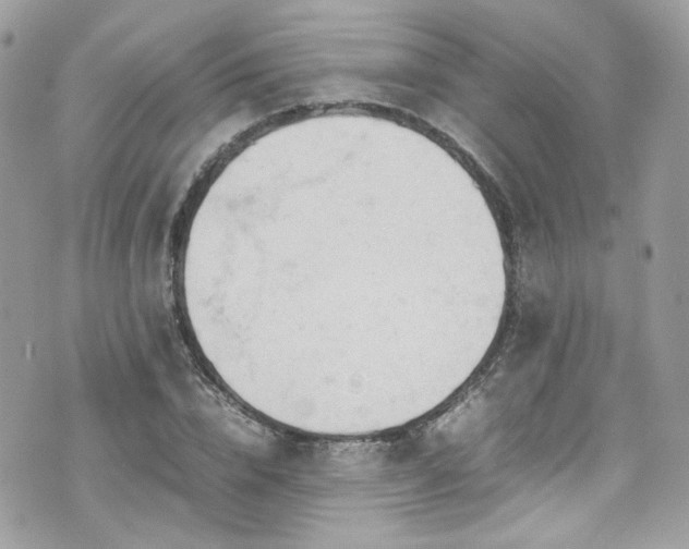 X0000070870832200606161203