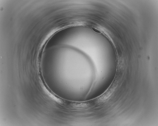 X0000070870851200606161204