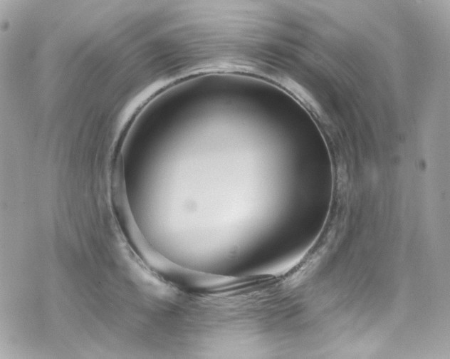 X0000070870854200606161204