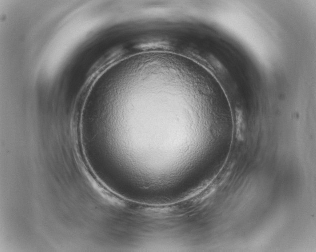 X0000070870861200606161204