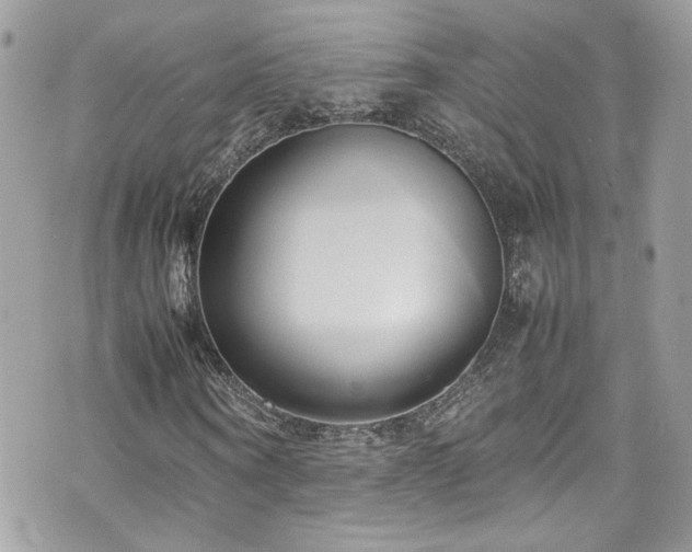 X0000070870866200606161203