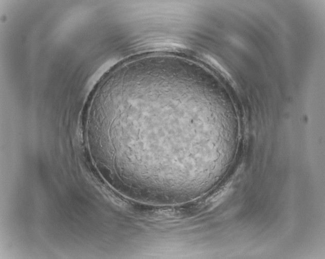 X0000070870883200606161203