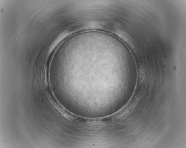 X0000070870886200606161203