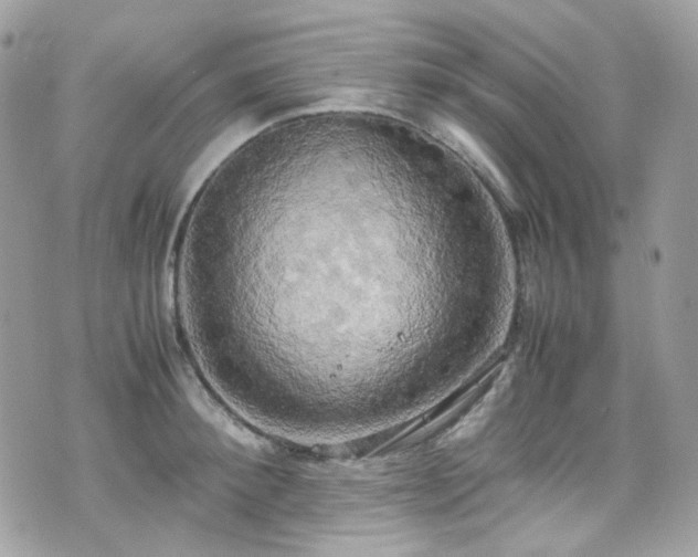 X0000070870900200606161202