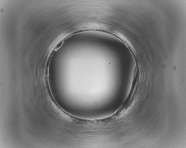 X0000070870901200606161202
