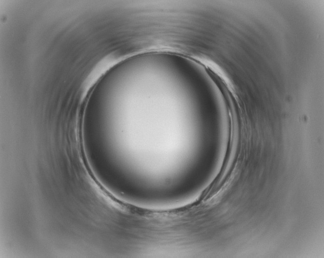 X0000070870910200606161202