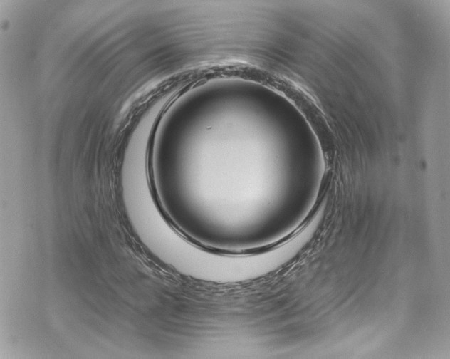 X0000070870920200606161202