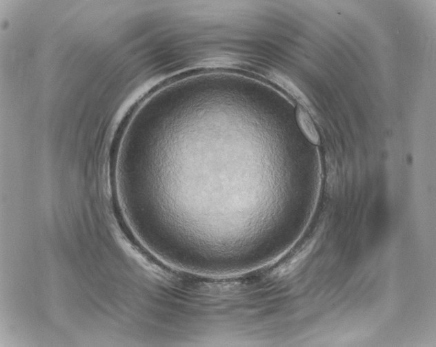 X0000070870939200606161202