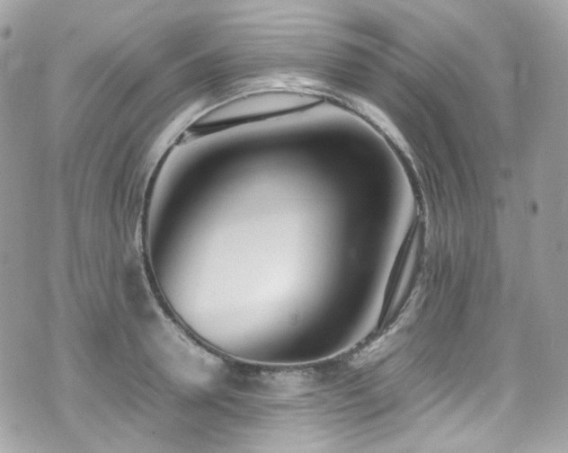 X0000070870946200606161202