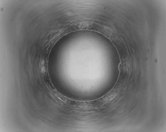 X0000070870962200606161201