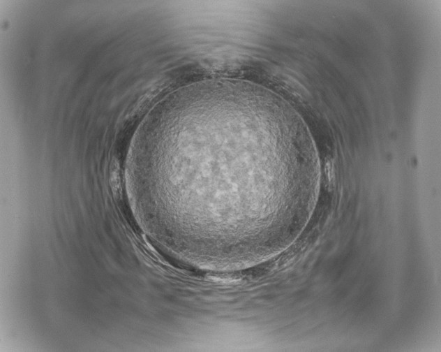 X0000070870963200606161201