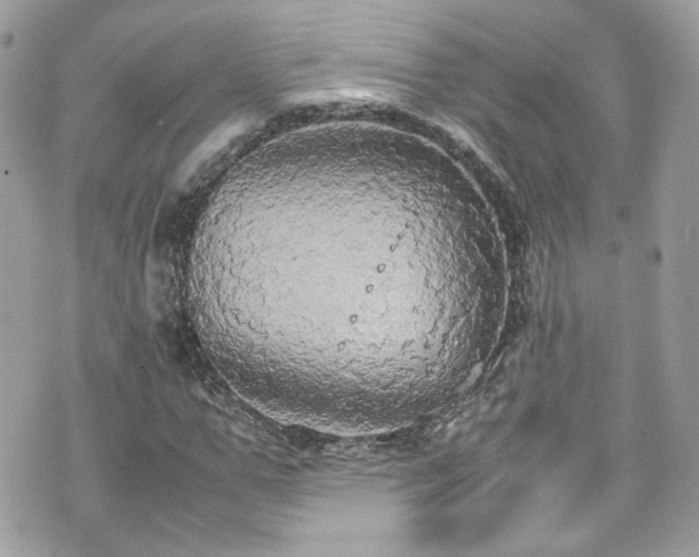 X0000070870967200606161201
