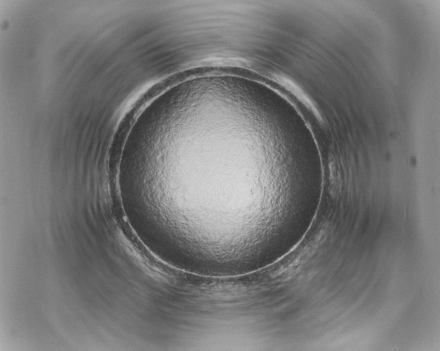 X0000070870972200606161201
