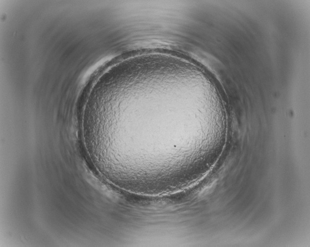 X0000070870979200606161201