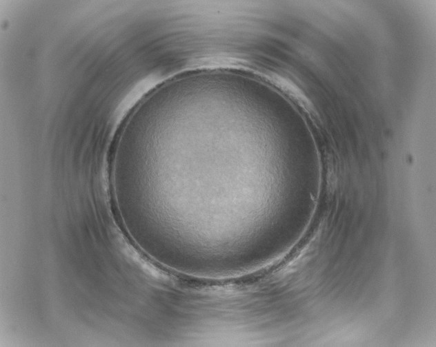 X0000070870990200606161201