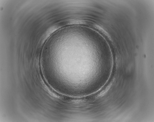 X0000070871033200606161200