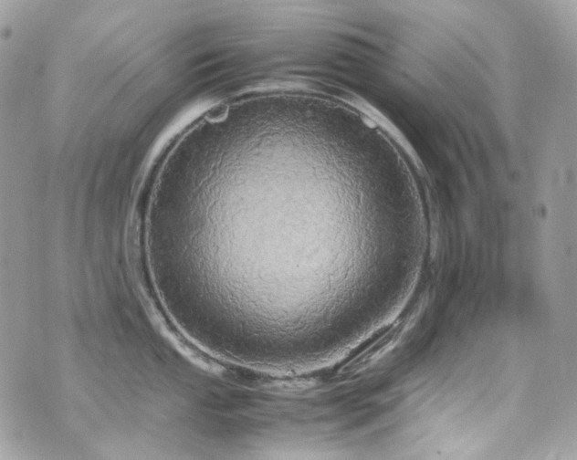 X0000070871053200606161201