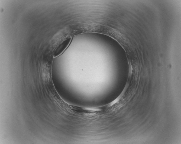 X0000070871058200606161200