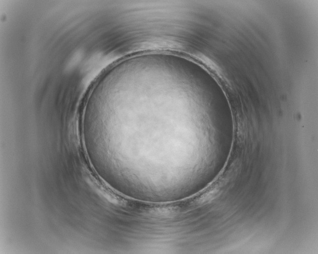 X0000070871078200606161159