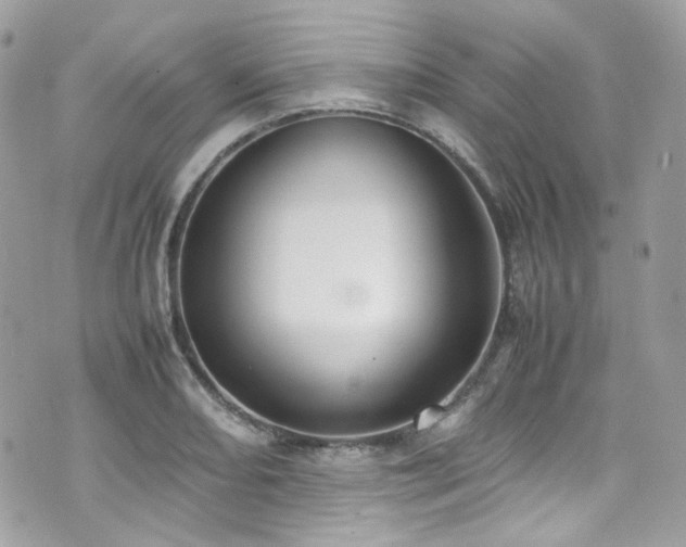 X0000070871082200606161159