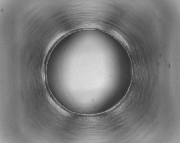 X0000070871084200606161159