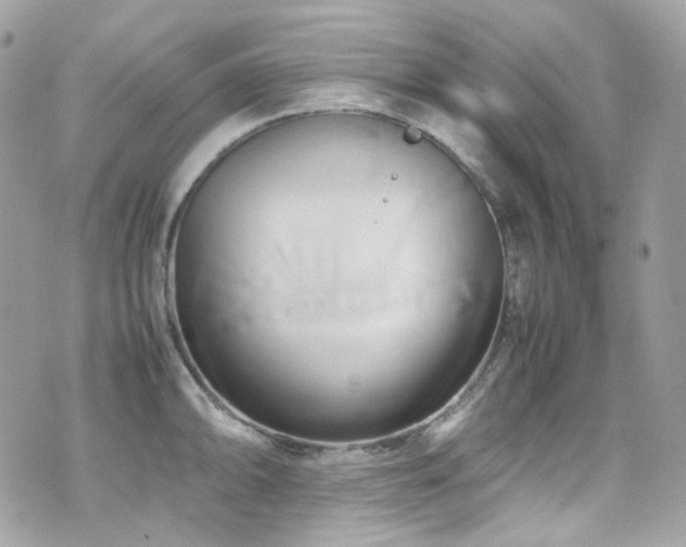 X0000070871094200606161159