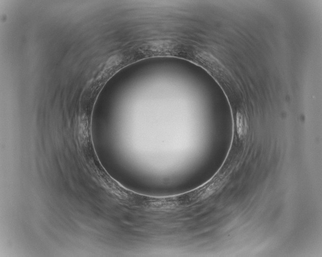 X0000070871107200606161158