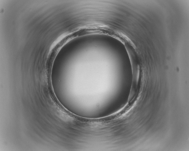 X0000070871114200606161158