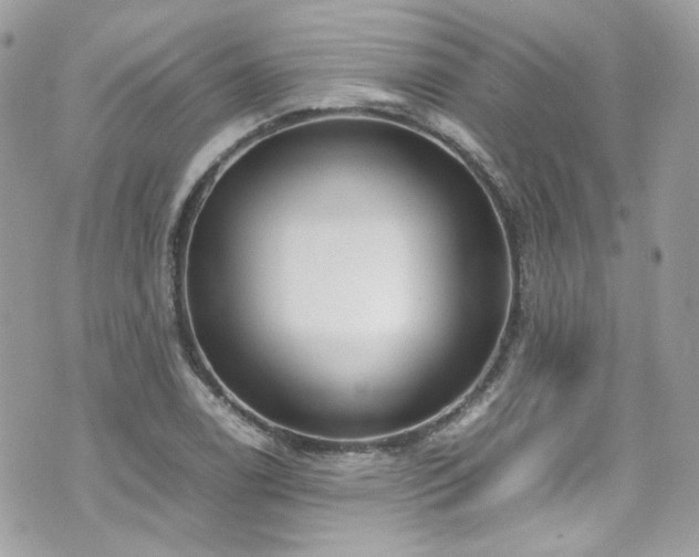X0000070871122200606161159