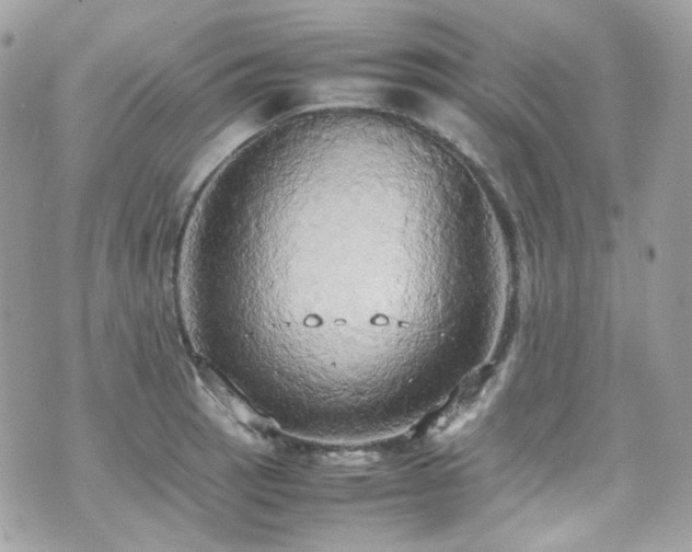 X0000070871137200606161159